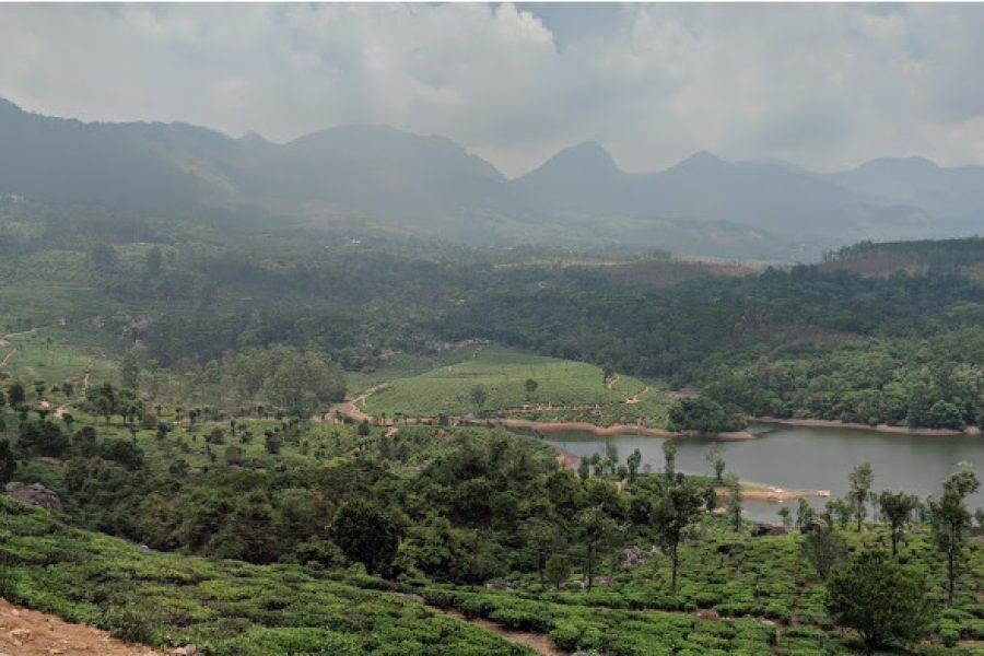 1D1N Discover Kolukkumala – Munnar’s Hidden Gems