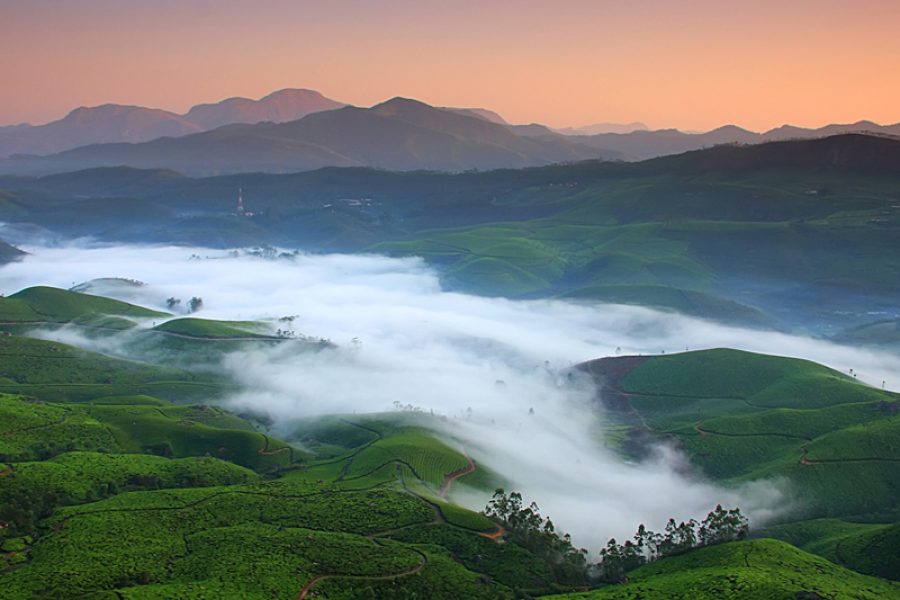 3D2N02 Munnar Sightseeing Trips