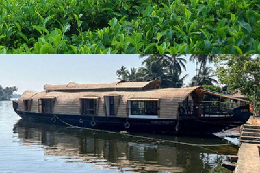 7D6N01 Kerala Escapade: Hills, Wildlife, Backwaters & Heritage Tour