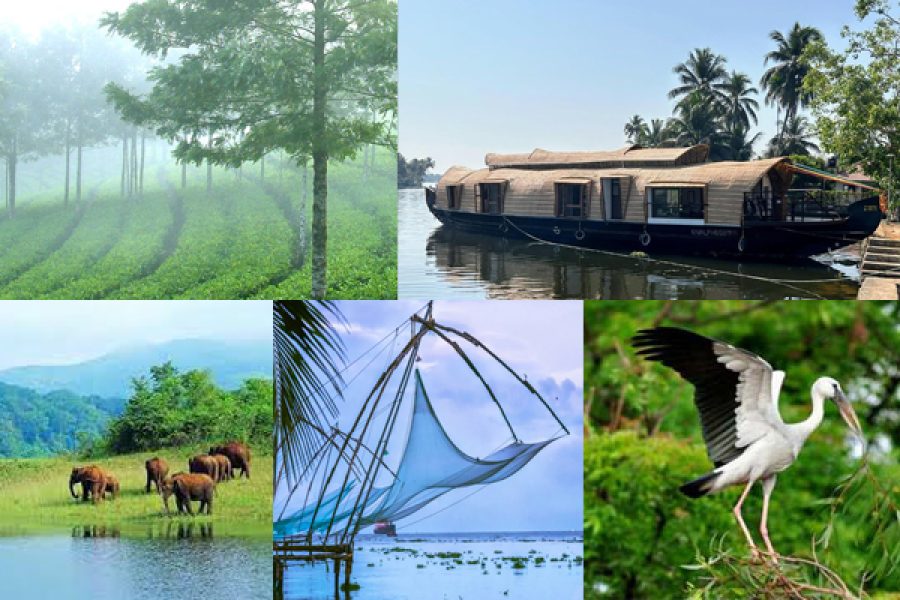 5D4N01 Kerala Escapade: Hills, Wildlife, Backwaters & Heritage Tour